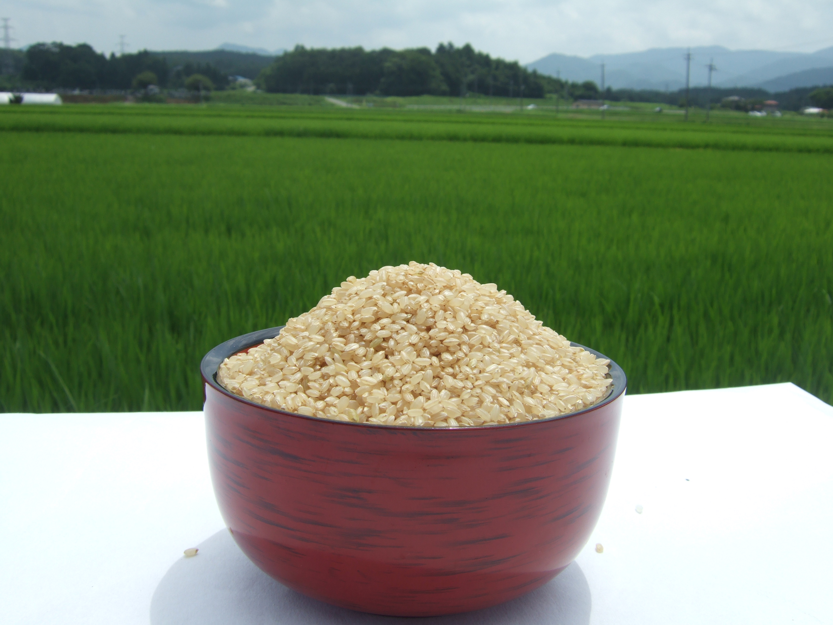 ひとめぼれ玄米(5㎏) | 細川農産